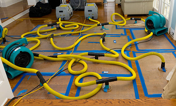 Professional Crawl Space Water Removal technician working in North Weymouth, MA